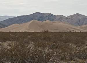 Big Dune